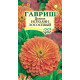Цинния Исполин Лососевый Гавриш Цинния Исполин Лососевый Гавриш