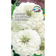 Цинния Полярный Медведь георг.(белая)