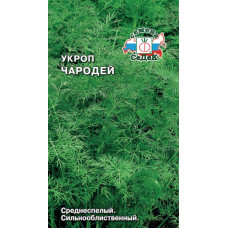 Укроп Чародей Седек