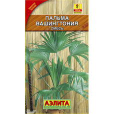 Пальма Вашингтония Аэлита