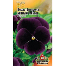 Виола Черный принц 