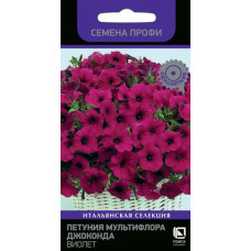 Петуния мультифлора  Джоконда Виолет Поиск
