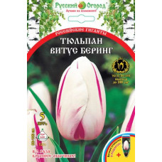 Тюльпан Российские гиганты Витус Беринг НК 5шт Тюльпан Российские гиганты Витус Беринг НК 5шт