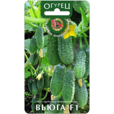 Огурец Вьюга F1 Биотехника 8шт