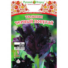 Тюльпан ЧЕРНЫЙ ПОПУГАЙ НК 5шт
